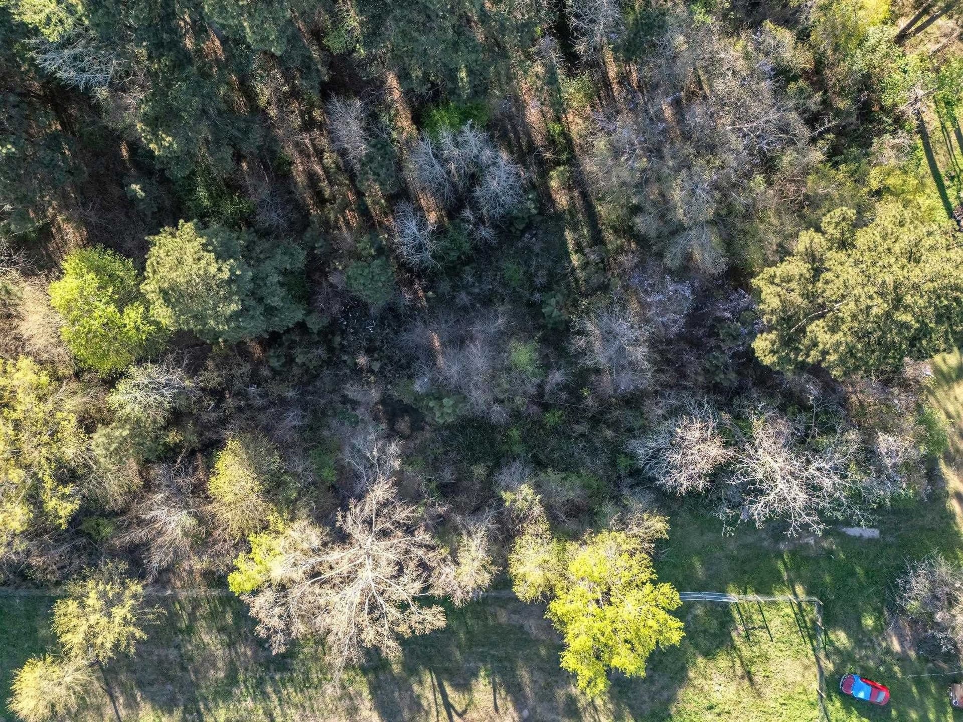 0.65 acres in Smith County - photo 11