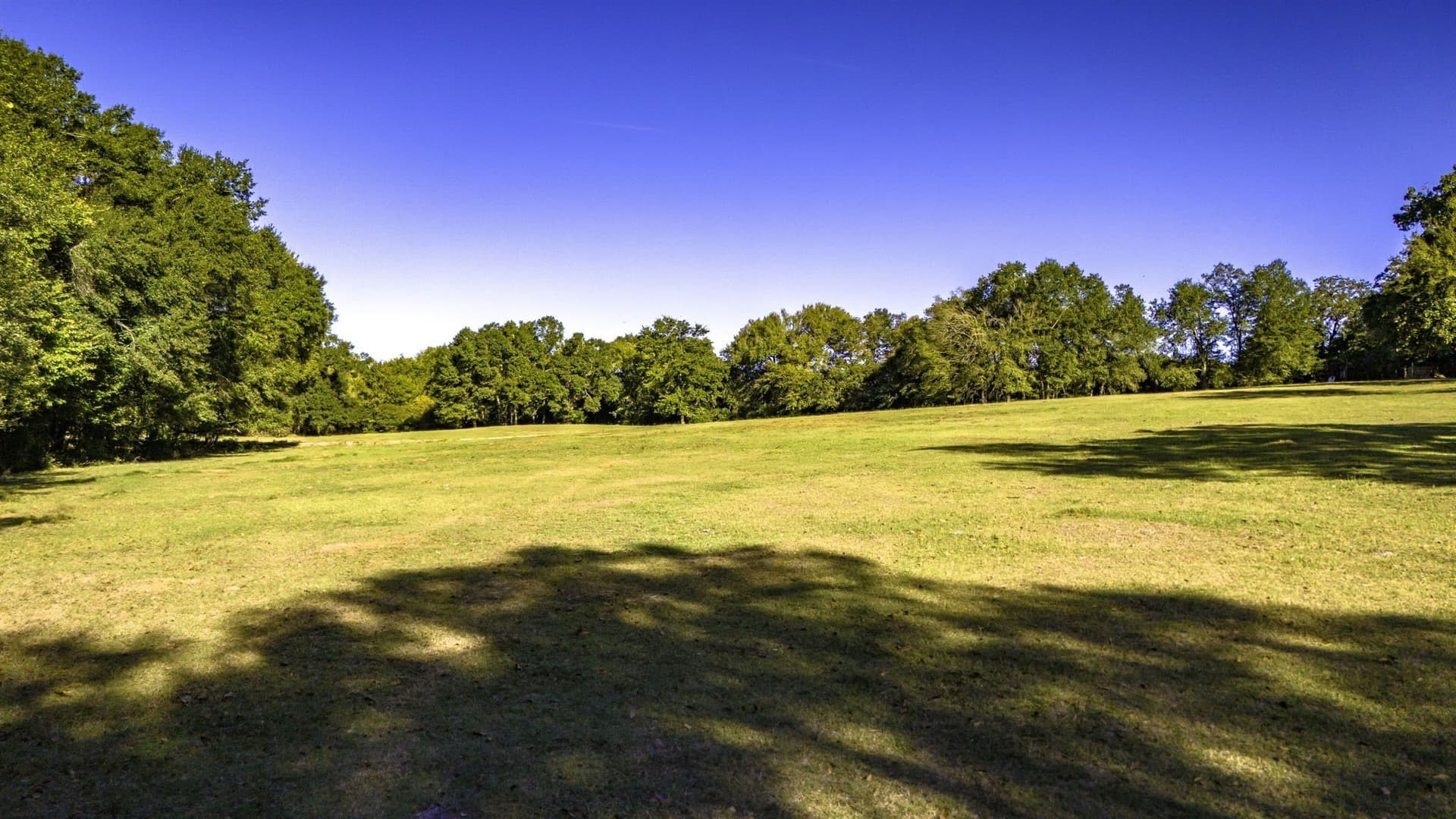 60.68 acres in Freestone County - photo 25