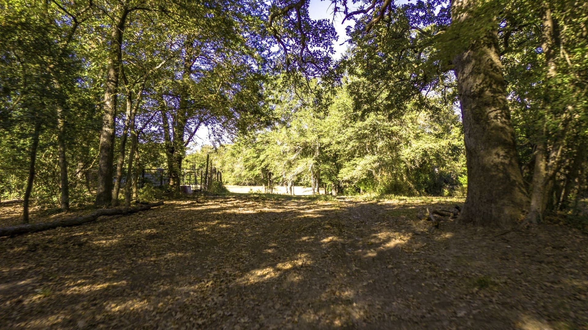 60.68 acres in Freestone County - photo 32