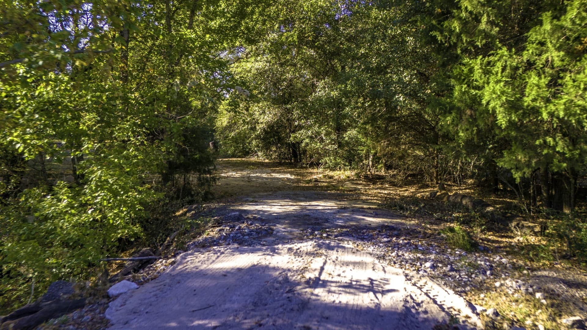 60.68 acres in Freestone County - photo 27