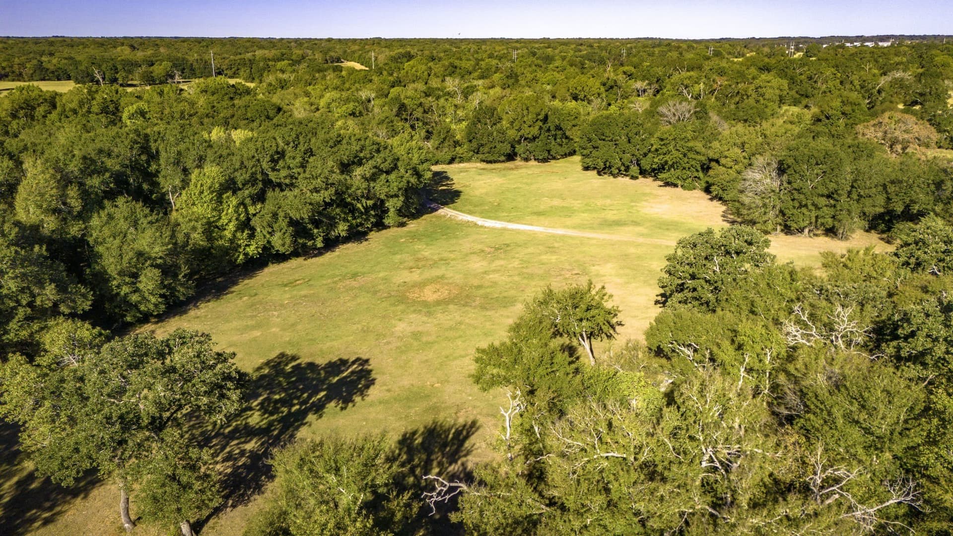 60.68 acres in Freestone County - photo 17