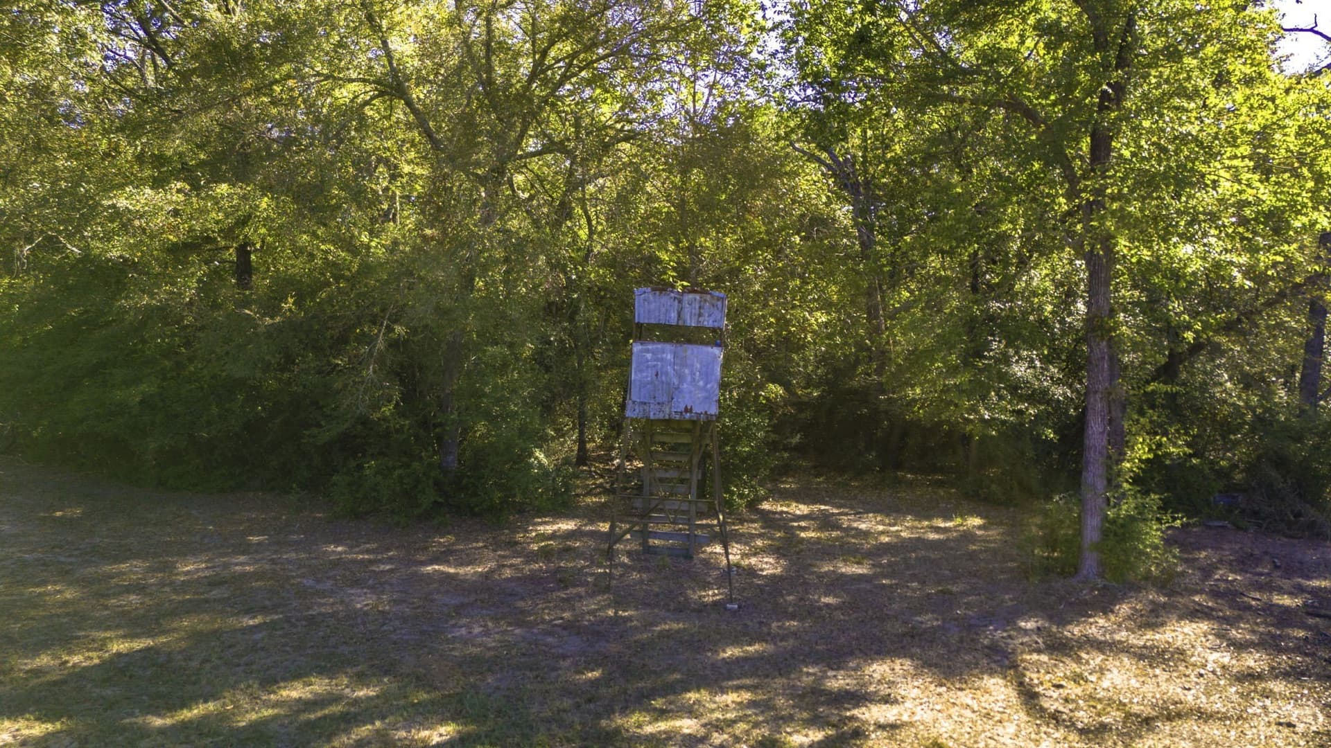 60.68 acres in Freestone County - photo 23