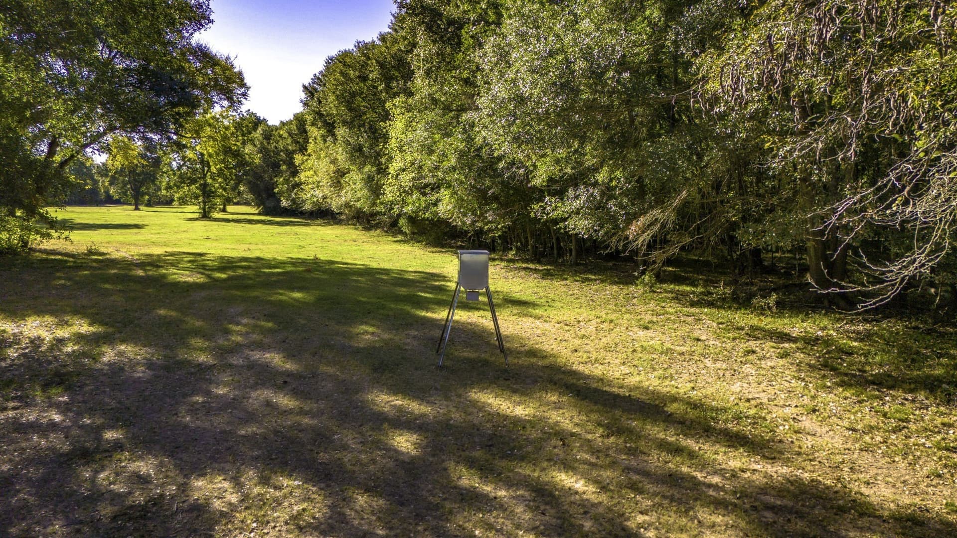 60.68 acres in Freestone County - photo 24