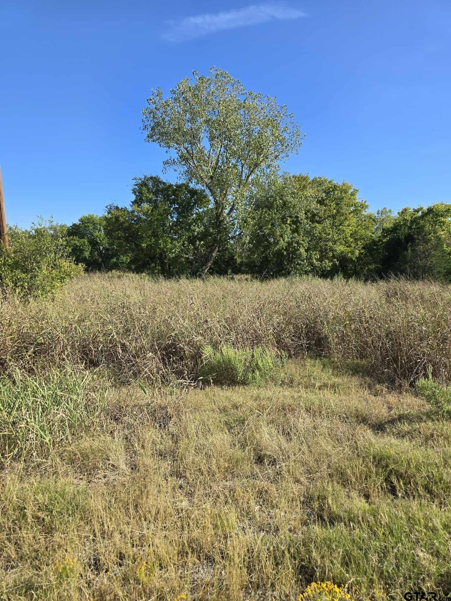 13.6 acres in Kaufman County - photo 29