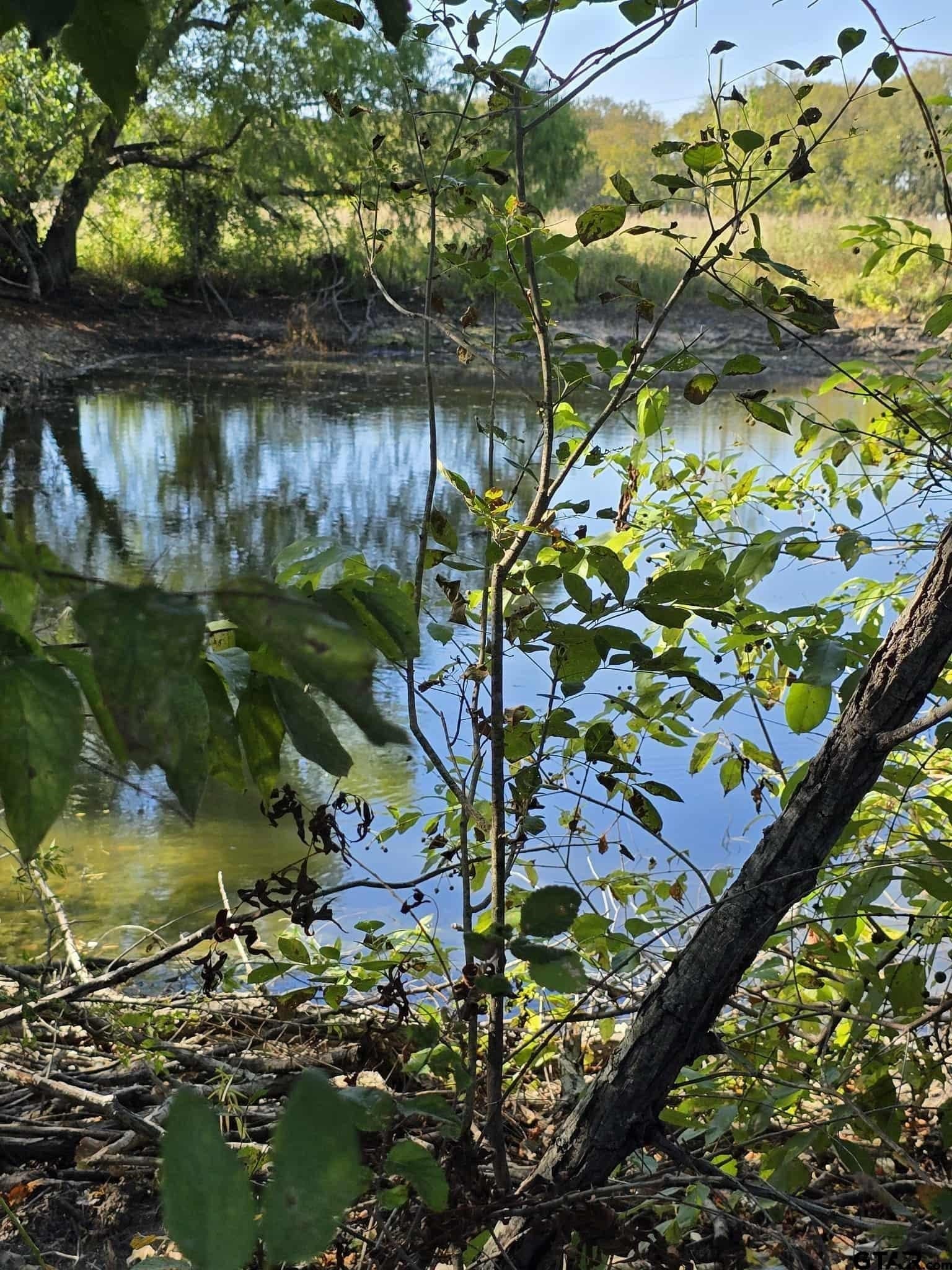 13.6 acres in Kaufman County - photo 24