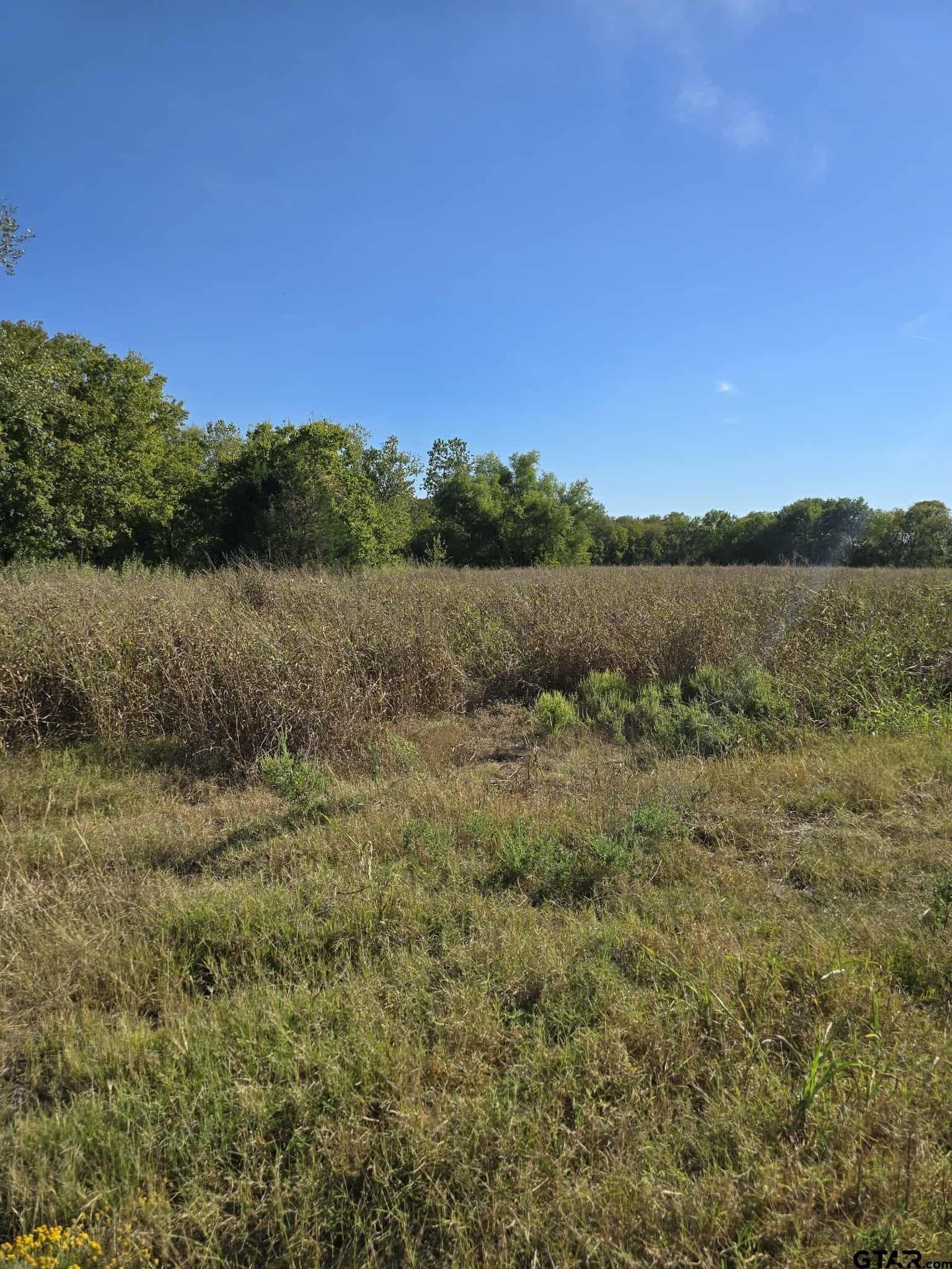 13.6 acres in Kaufman County - photo 17