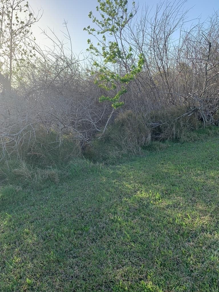 0.16 acres in Texas County gallery image 2