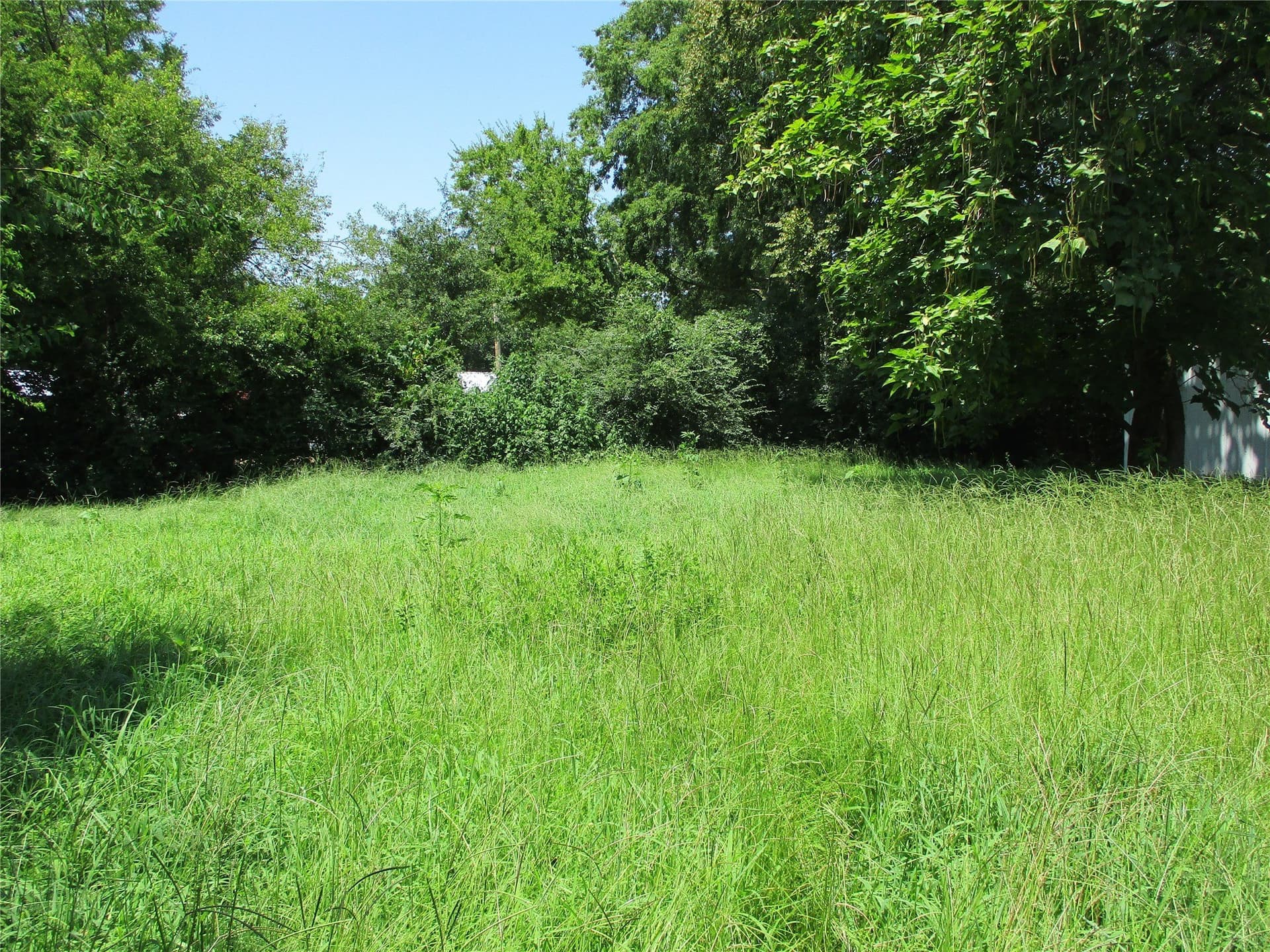 0.31 acres in Rains County - photo 3