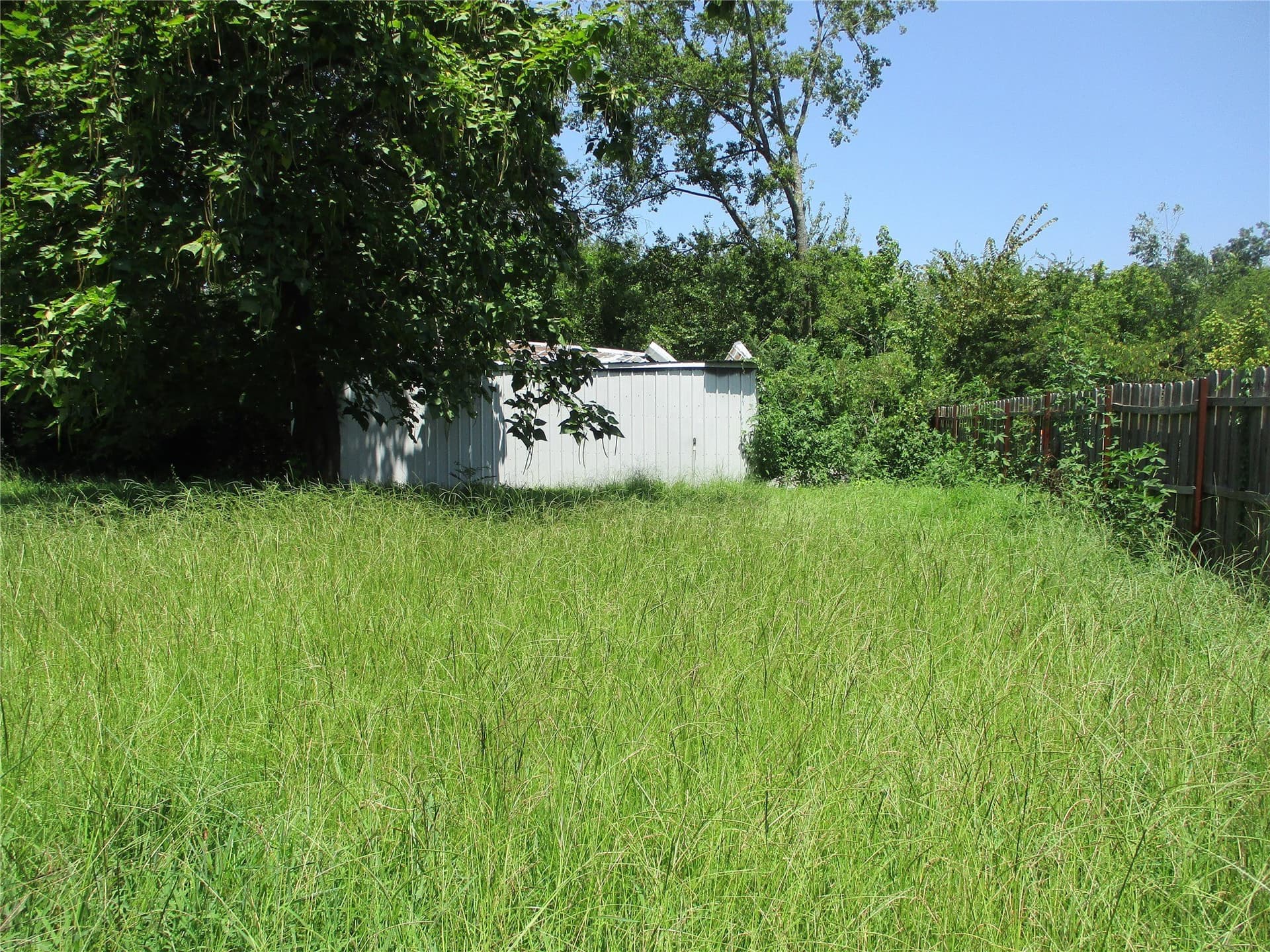 0.31 acres in Rains County - photo 4