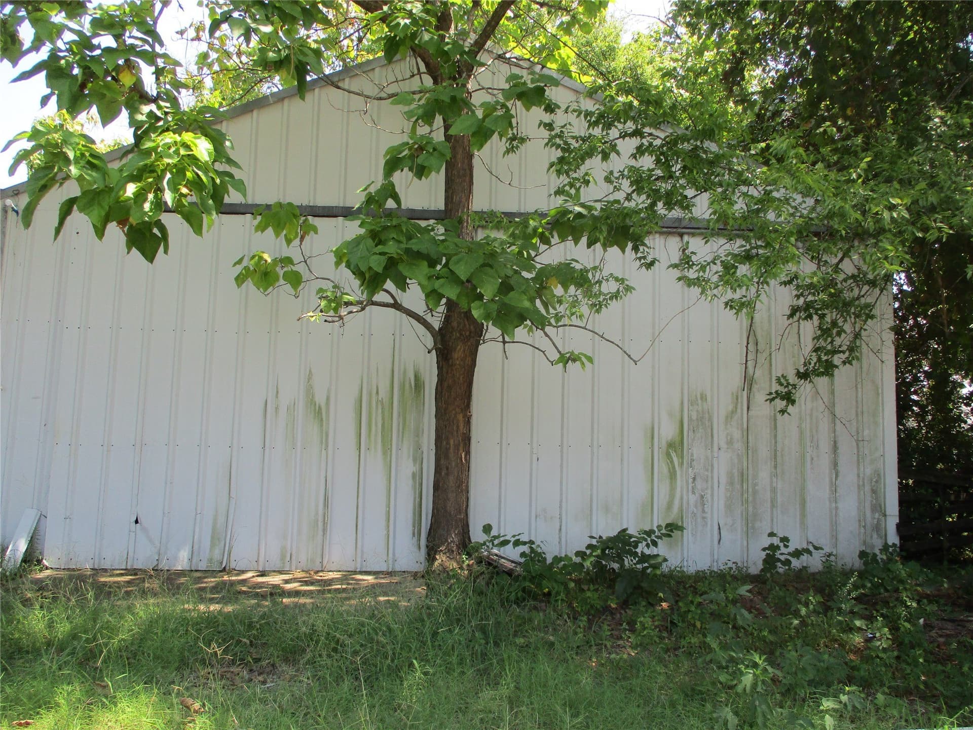0.31 acres in Rains County - photo 9