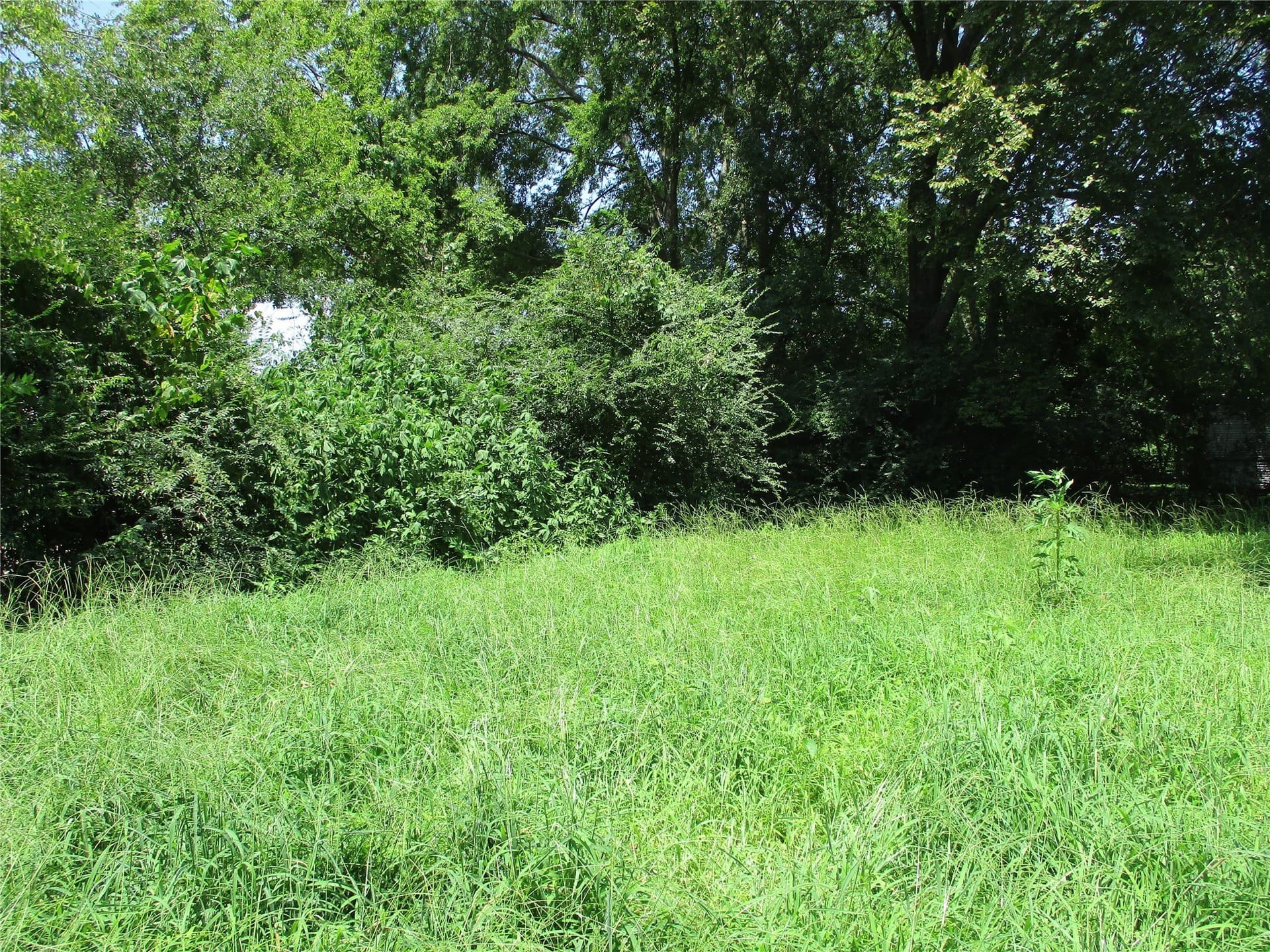 0.31 acres in Rains County - photo 7