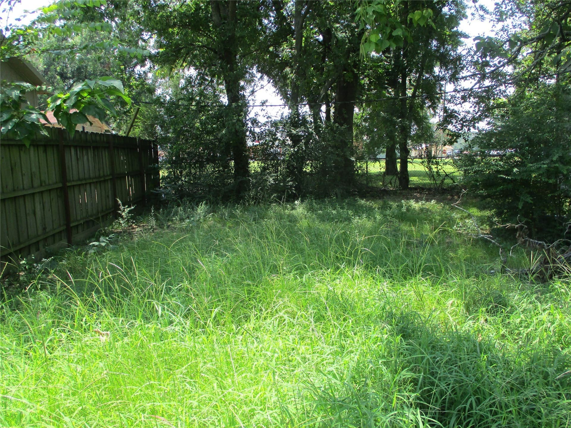 0.31 acres in Rains County - photo 5