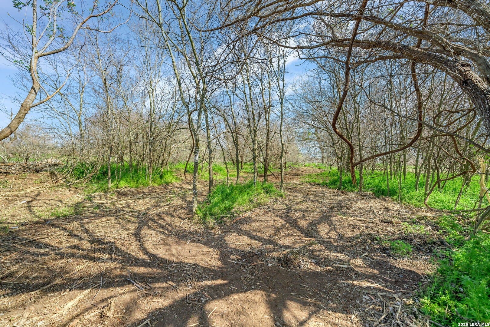 1.49 acres in Wilson County - photo 8