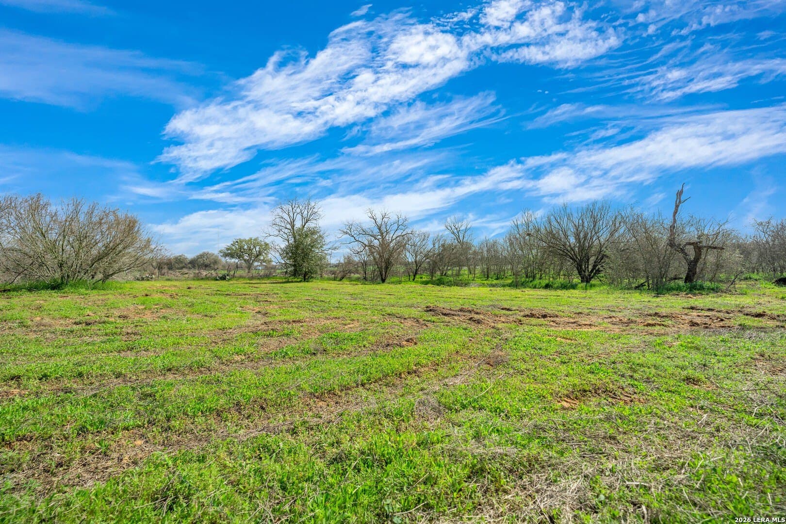 1.49 acres in Wilson County - photo 6