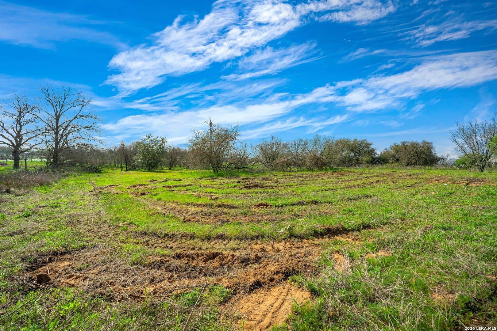 1.49 acres in Wilson County gallery image 4