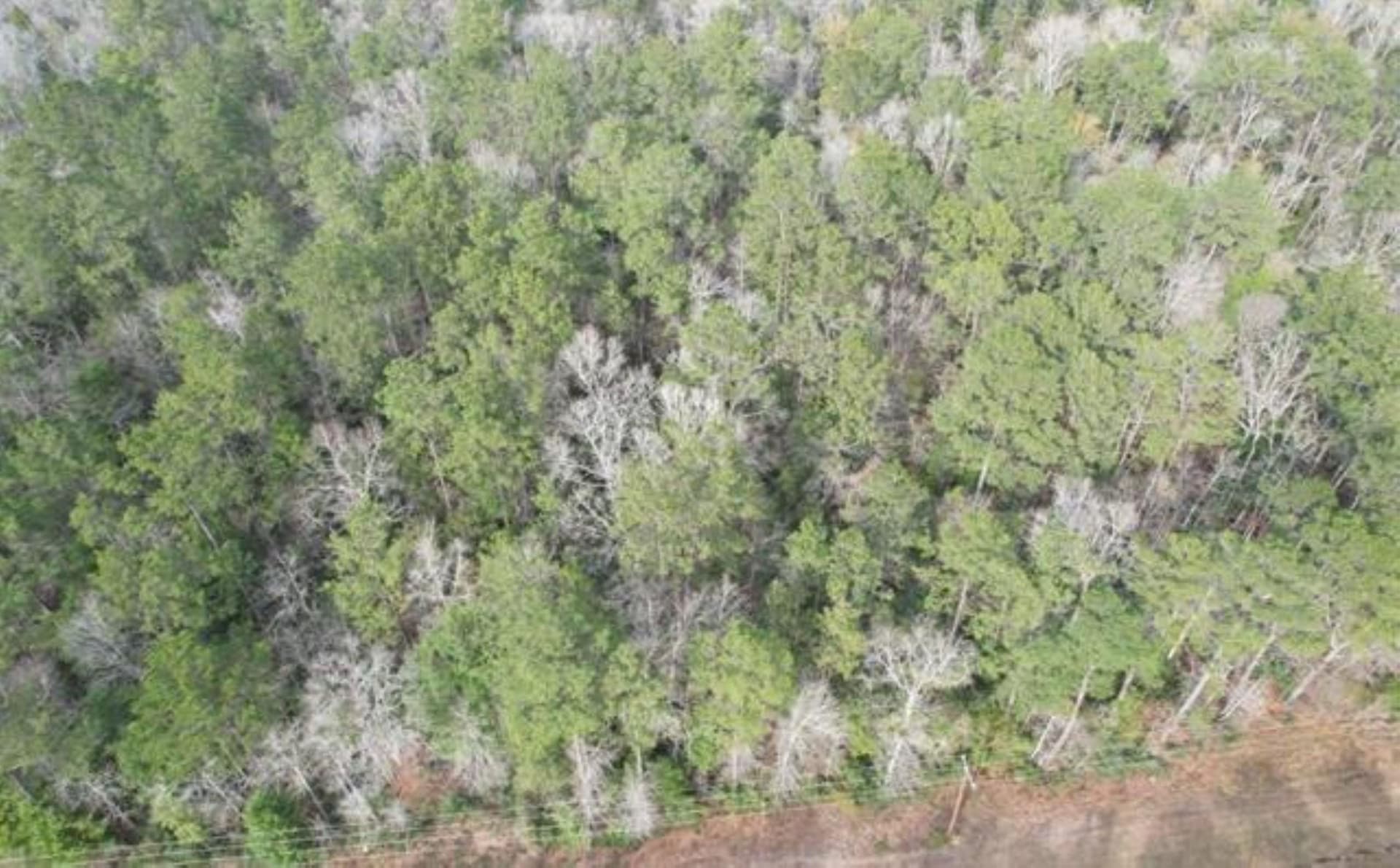 12.46 acres in Texas County featured view