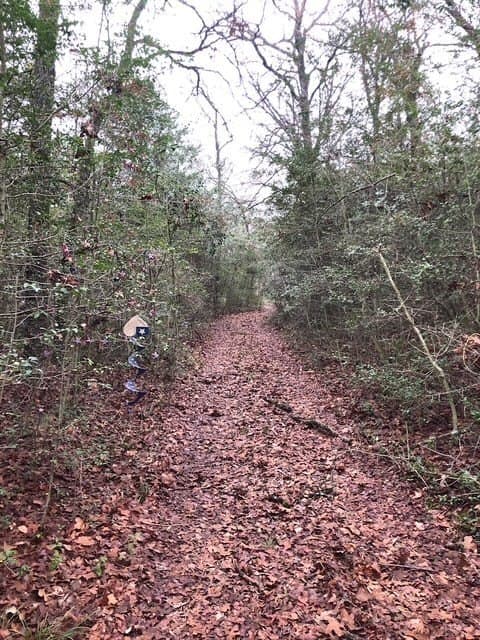 1 acres in Freestone County - photo 7