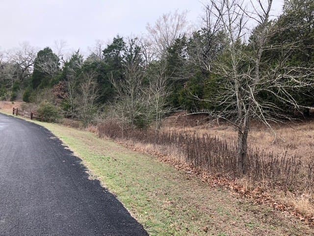 1 acres in Freestone County - photo 9