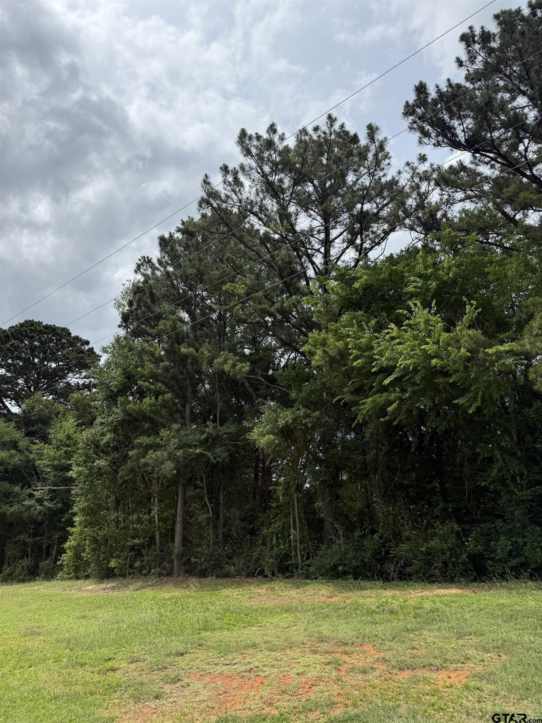 0.25 acres in Anderson County gallery image 2