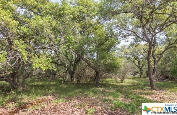13.86 acres in Jackson County - photo 5