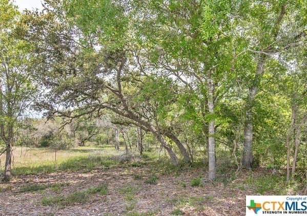 13.86 acres in Jackson County - photo 2