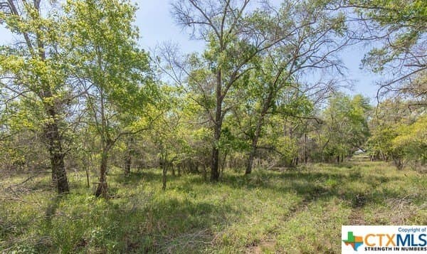 13.86 acres in Jackson County - photo 7