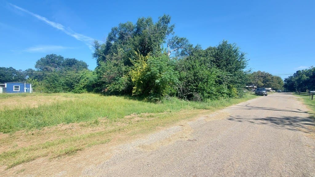 0.11 acres in Henderson County - photo 4