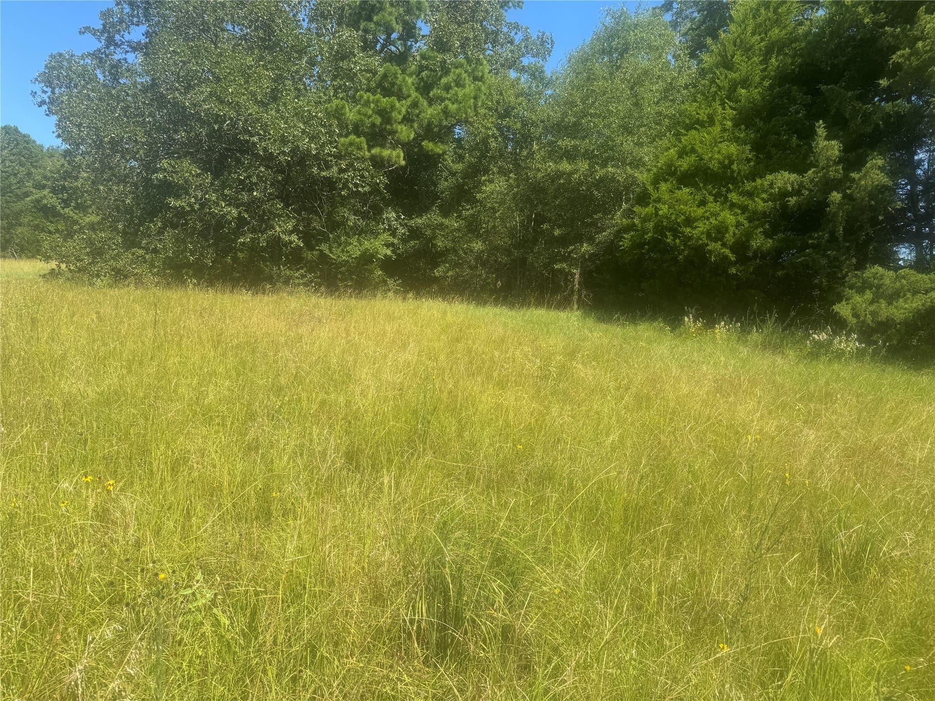 20.87 acres in Wood County - photo 5