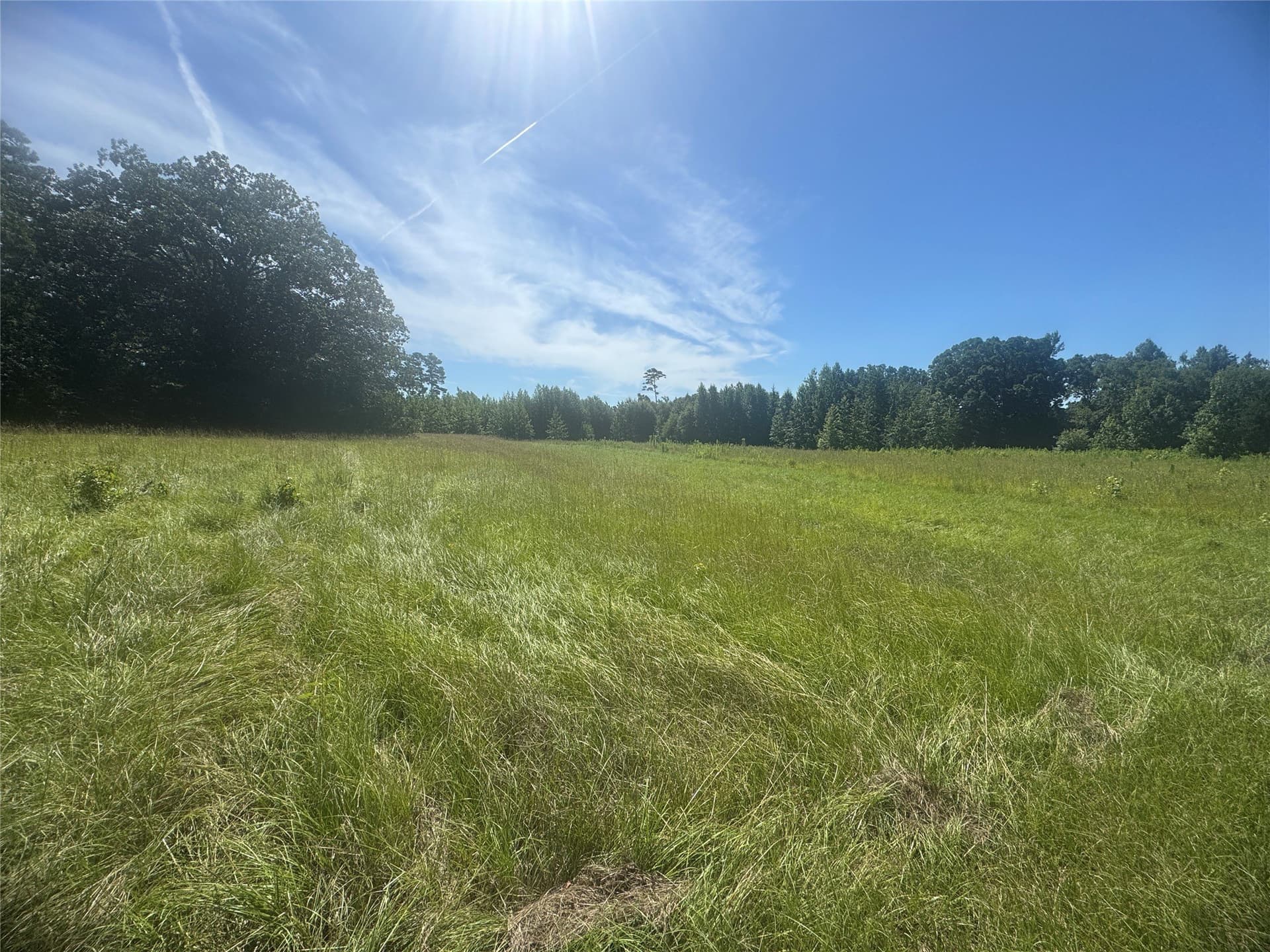 20.87 acres in Wood County - photo 2