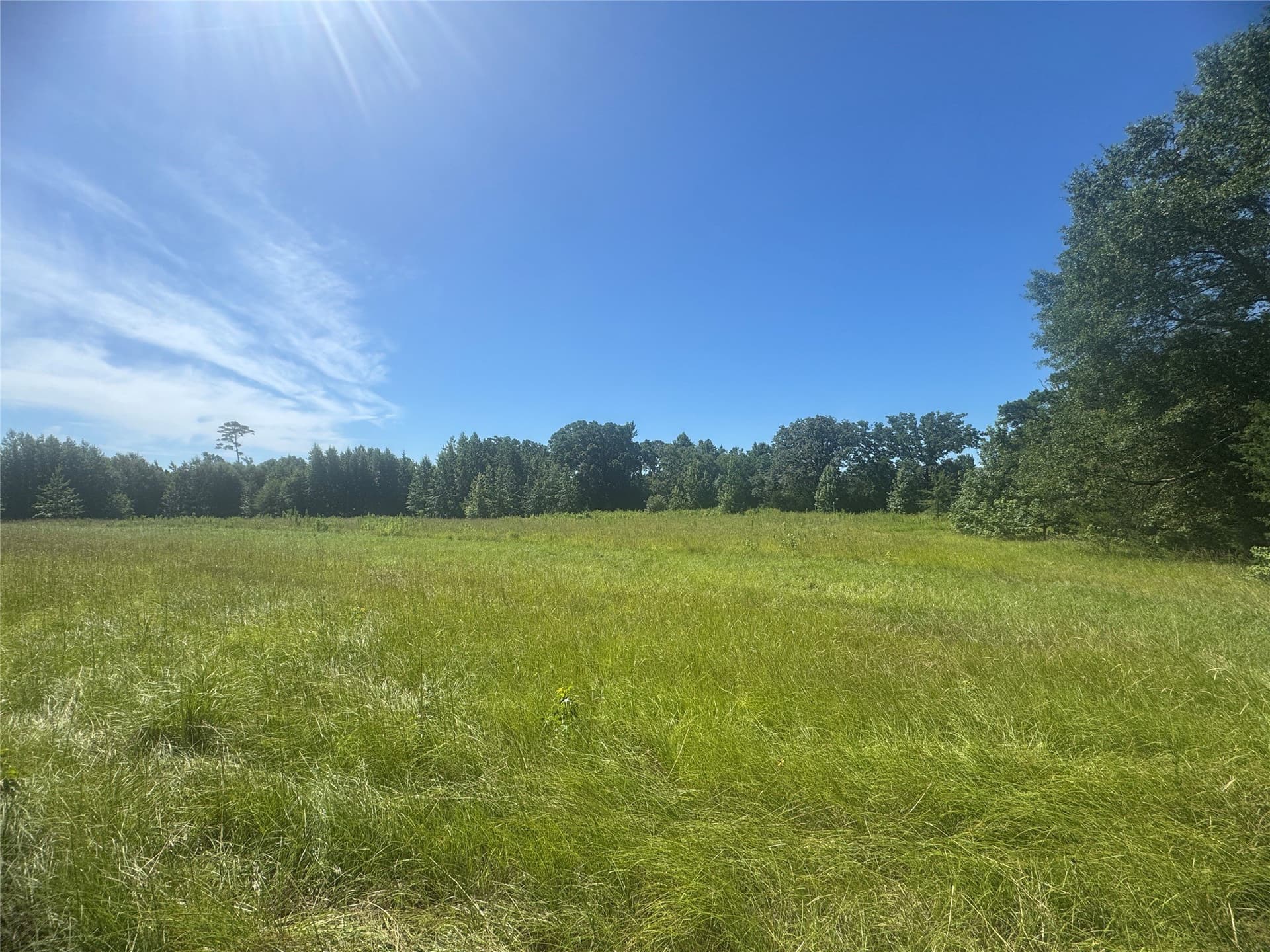 20.87 acres in Wood County - photo 3