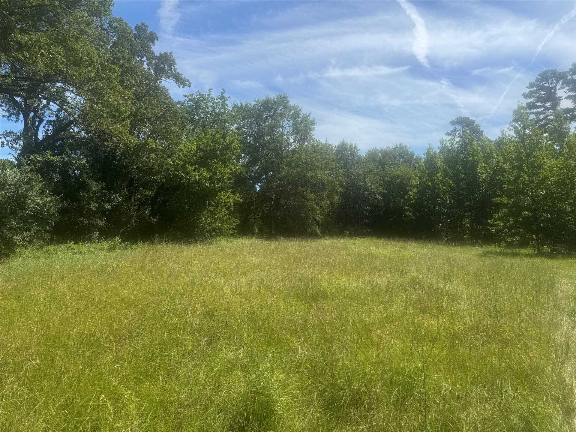 20.87 acres in Wood County - photo 4