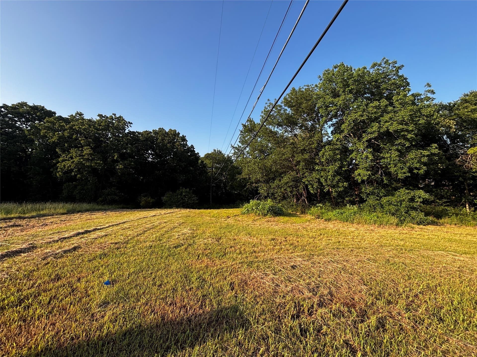 0.2 acres in Grayson County gallery image 3