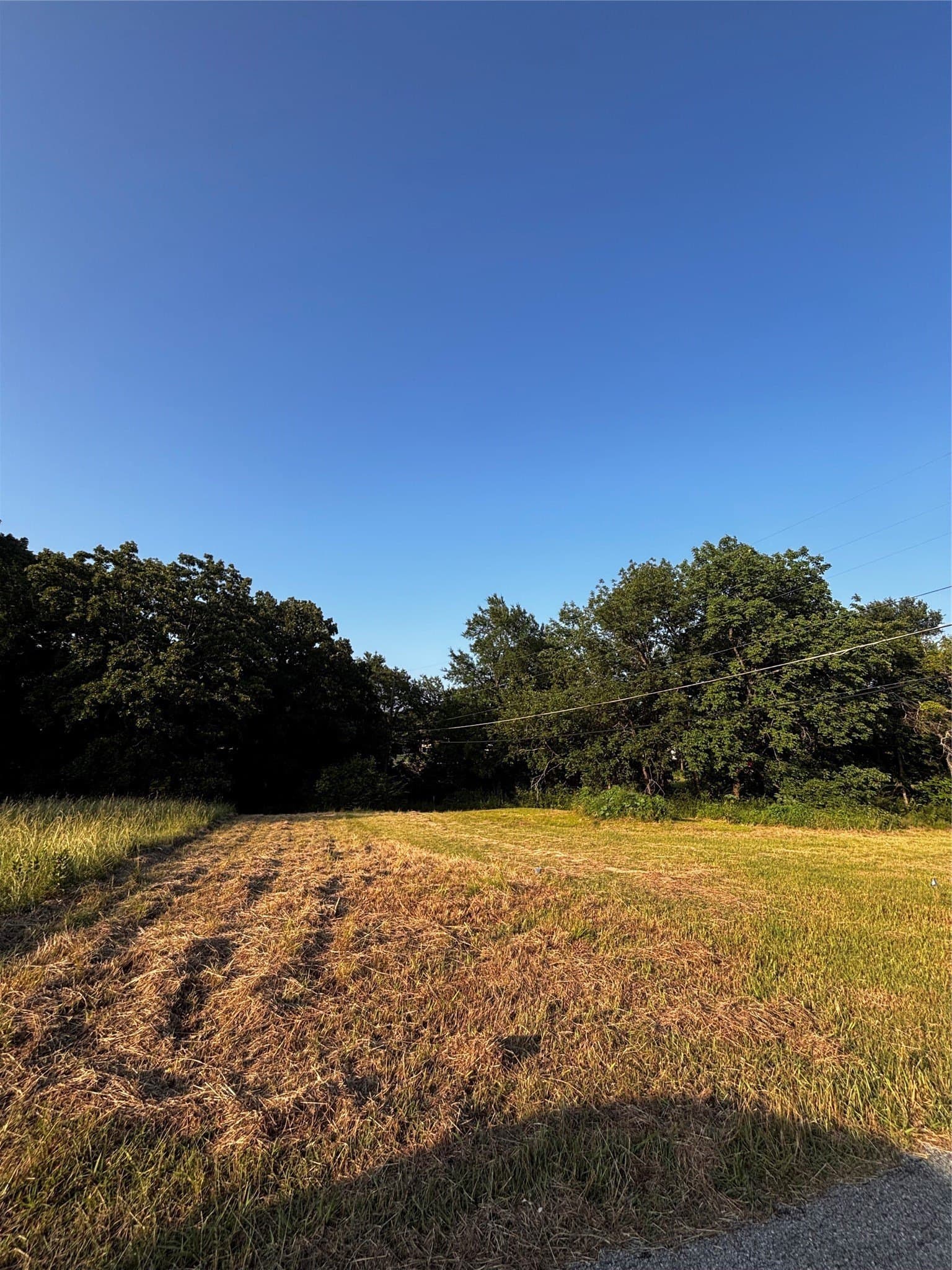 0.2 acres in Grayson County gallery image 2