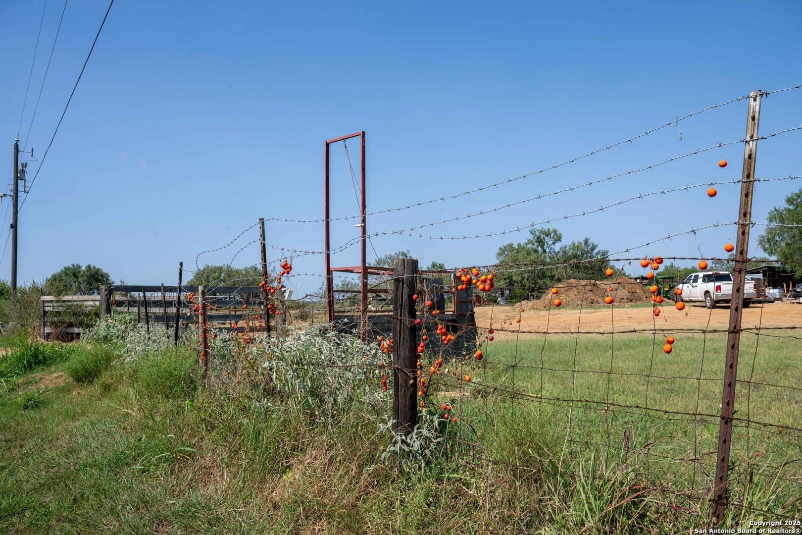17.43 acres in Bexar County gallery image 3