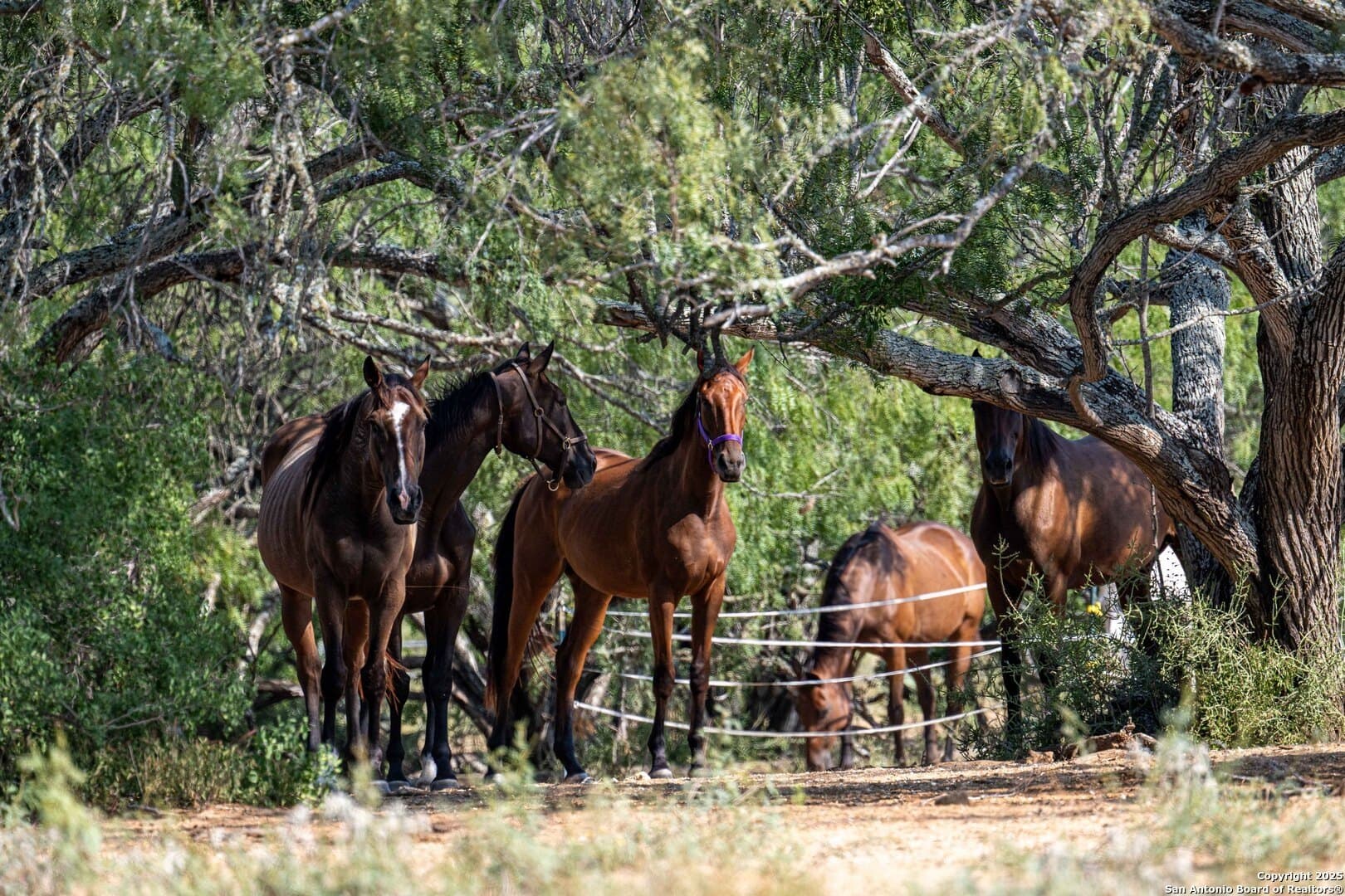 17.43 acres in Bexar County