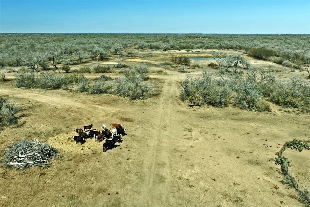 2,199.03 acres in Jim Wells County - photo 16