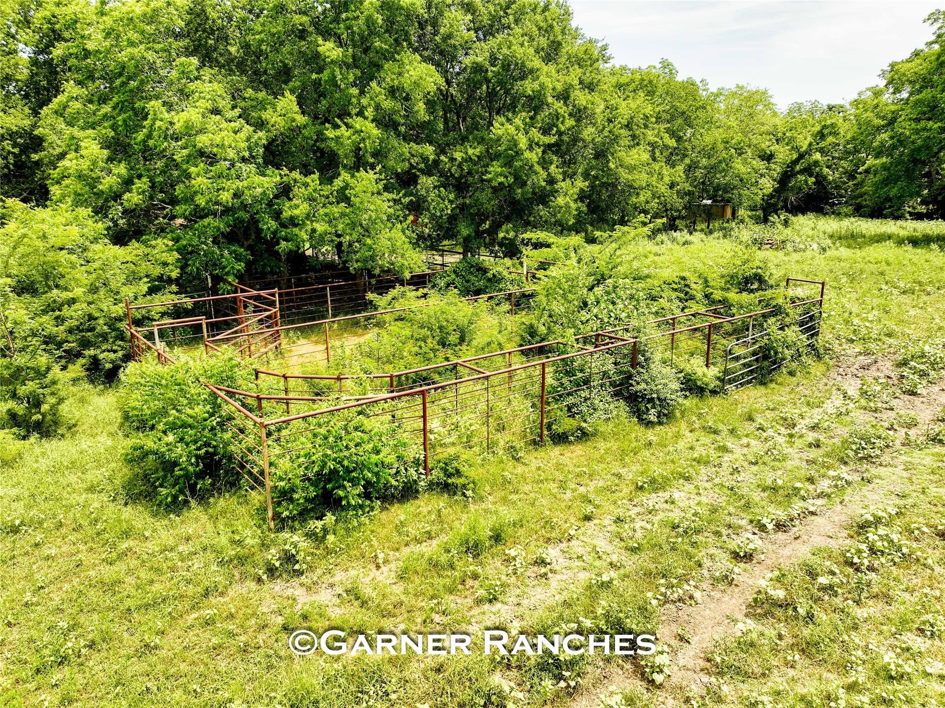 63 acres in Hunt County - photo 21