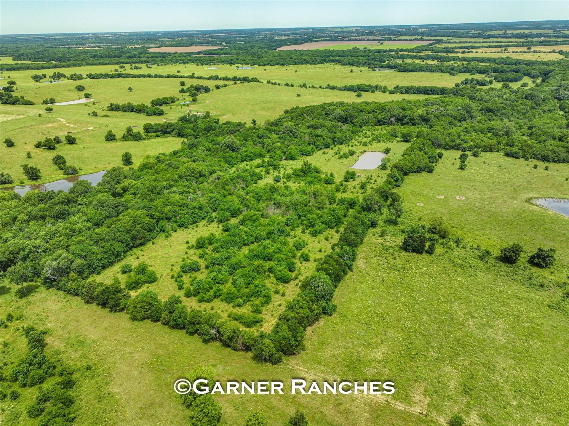 63 acres in Hunt County - photo 10