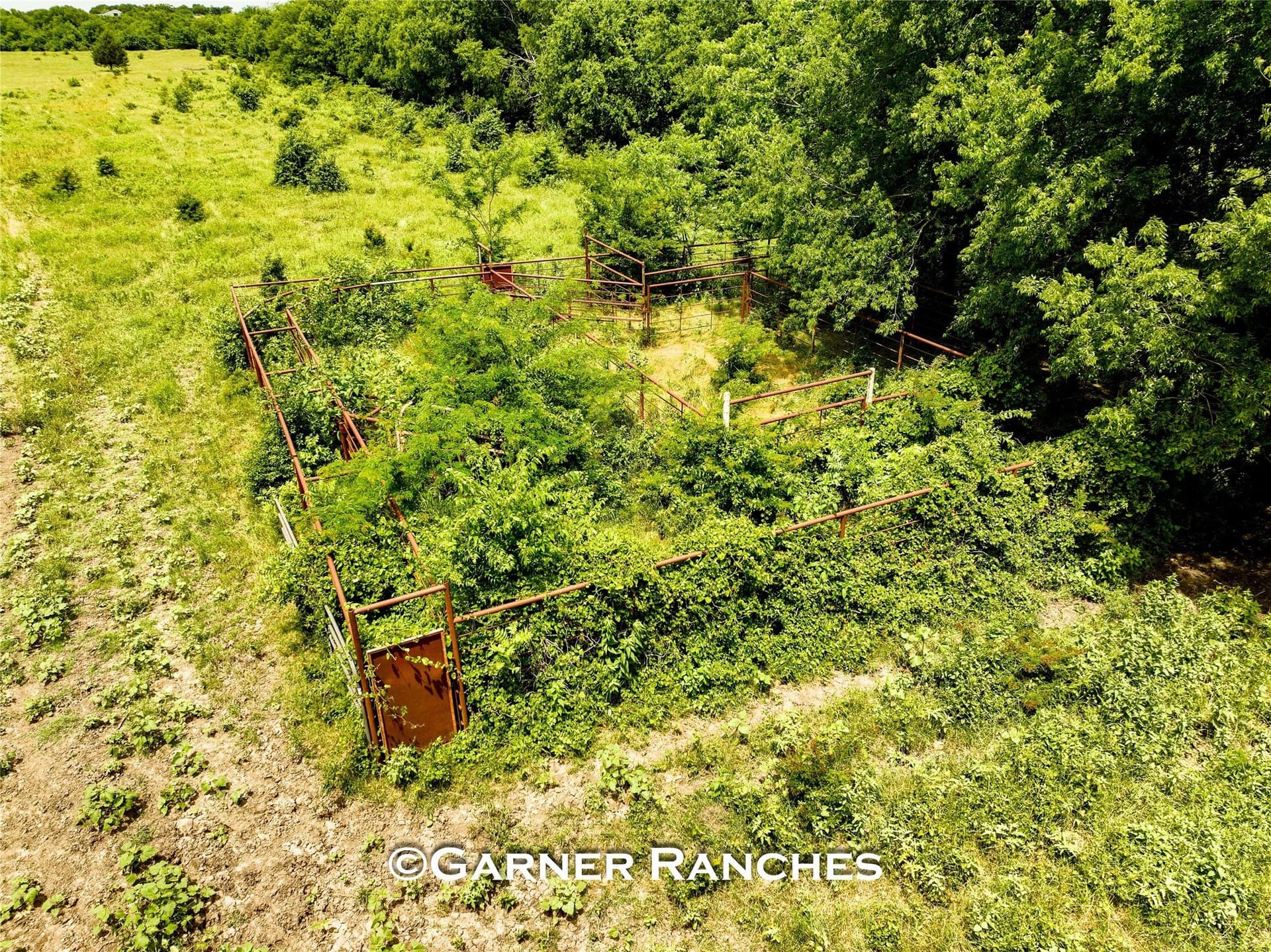 63 acres in Hunt County - photo 22