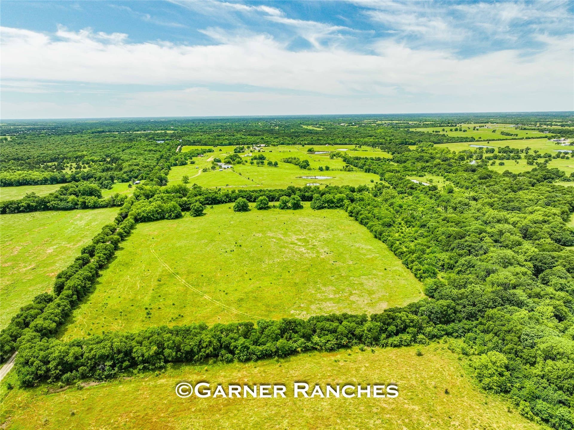 63 acres in Hunt County gallery image 3