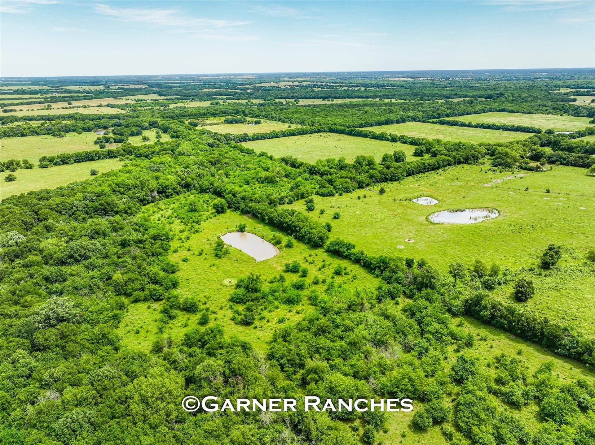 63 acres in Hunt County - photo 8