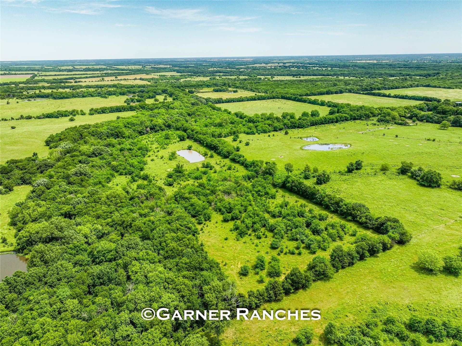 63 acres in Hunt County - photo 9