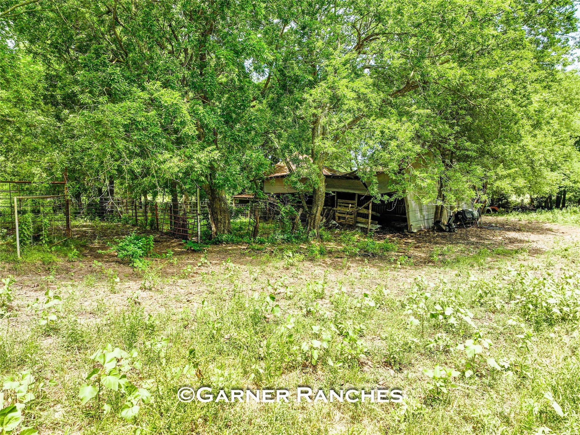 63 acres in Hunt County - photo 20