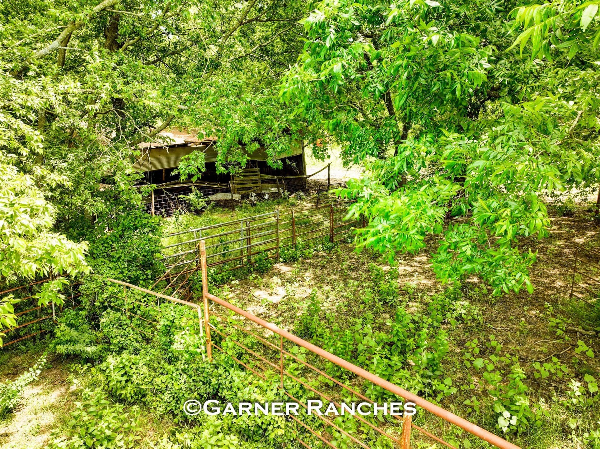 63 acres in Hunt County - photo 23