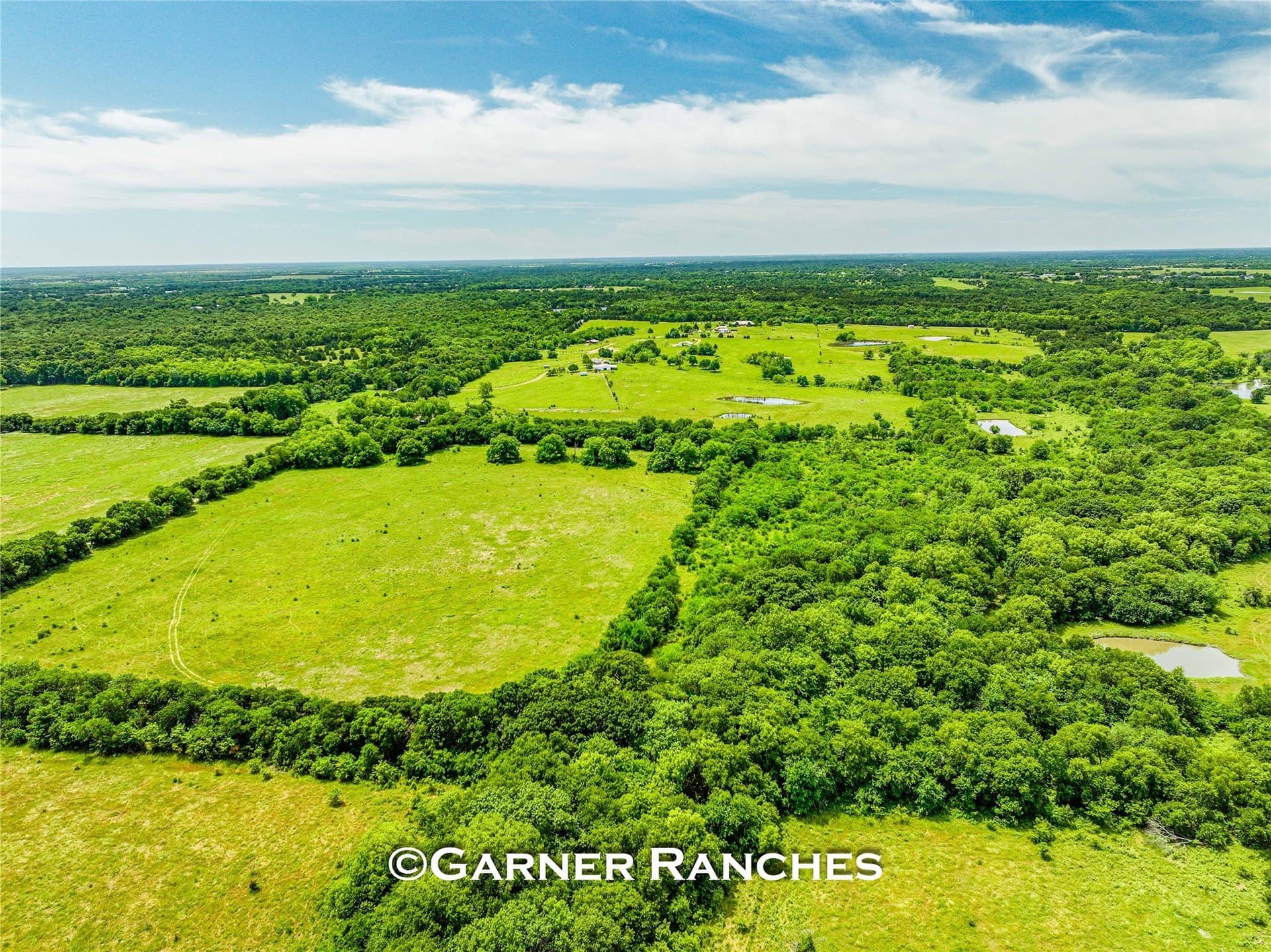 63 acres in Hunt County gallery image 4