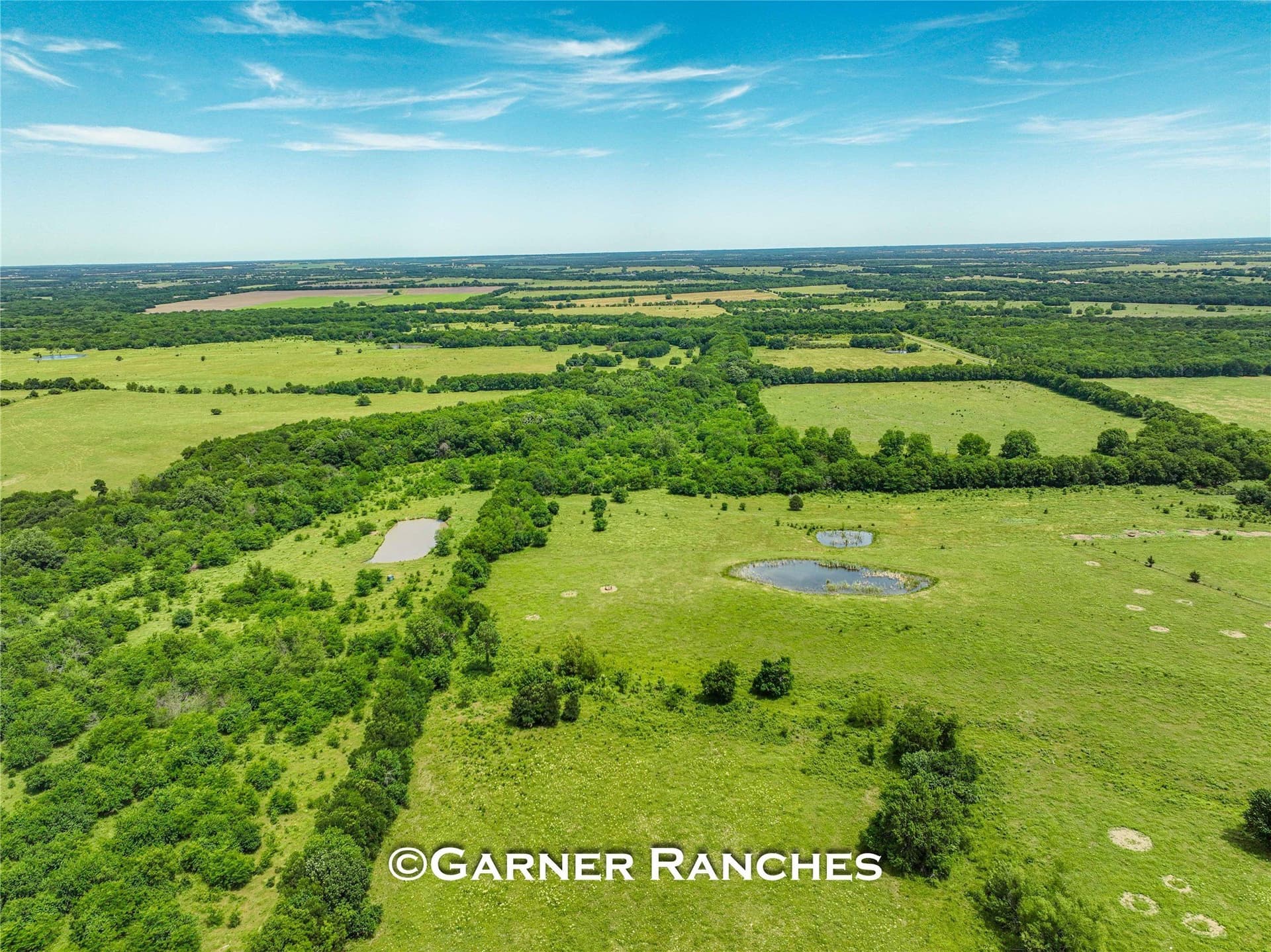 63 acres in Hunt County - photo 11
