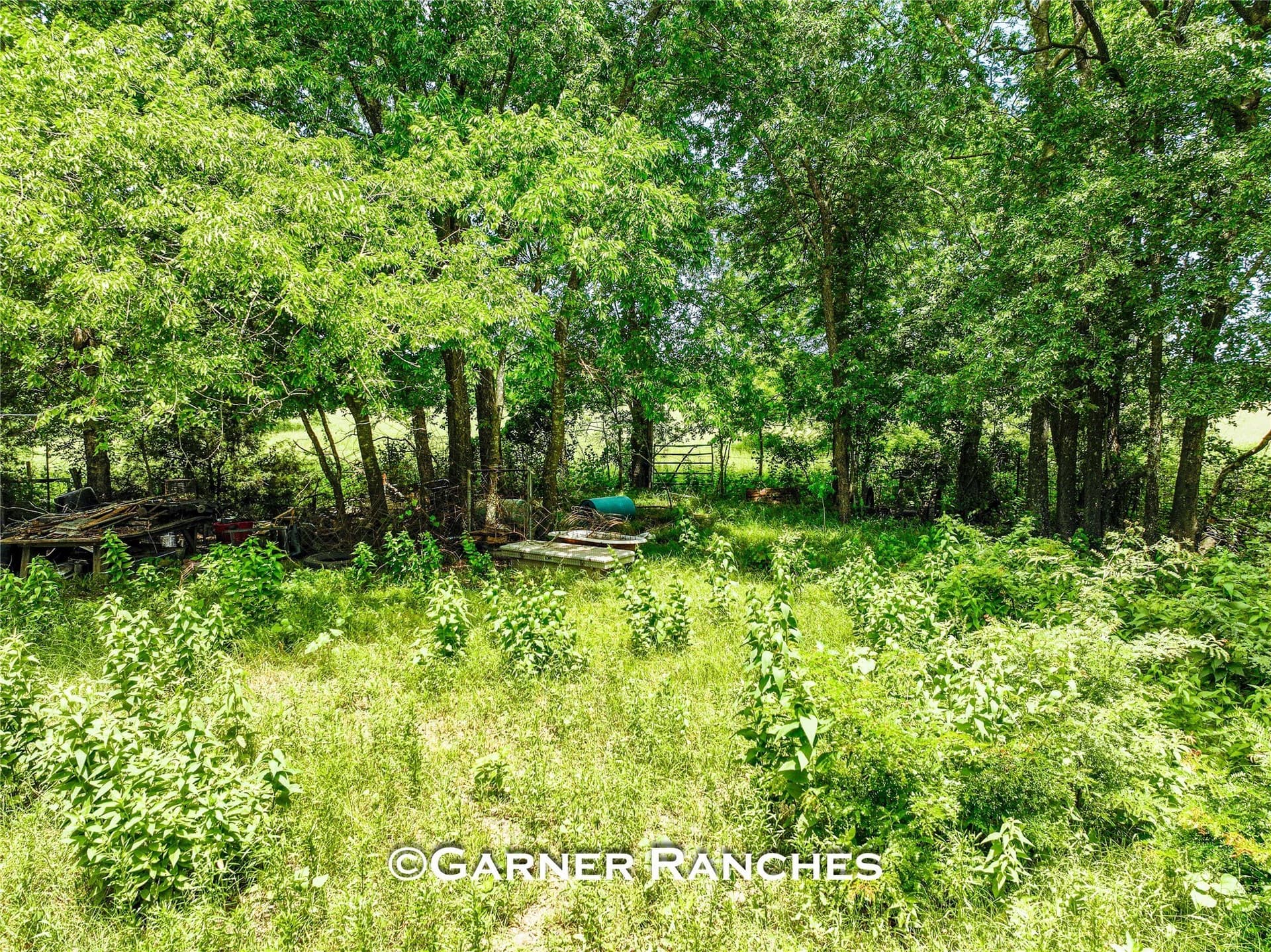 63 acres in Hunt County - photo 19