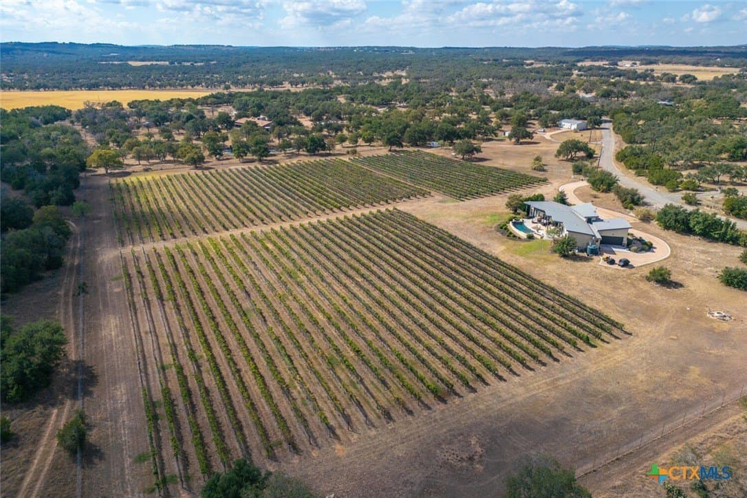 11.99 acres in Blanco County - photo 47