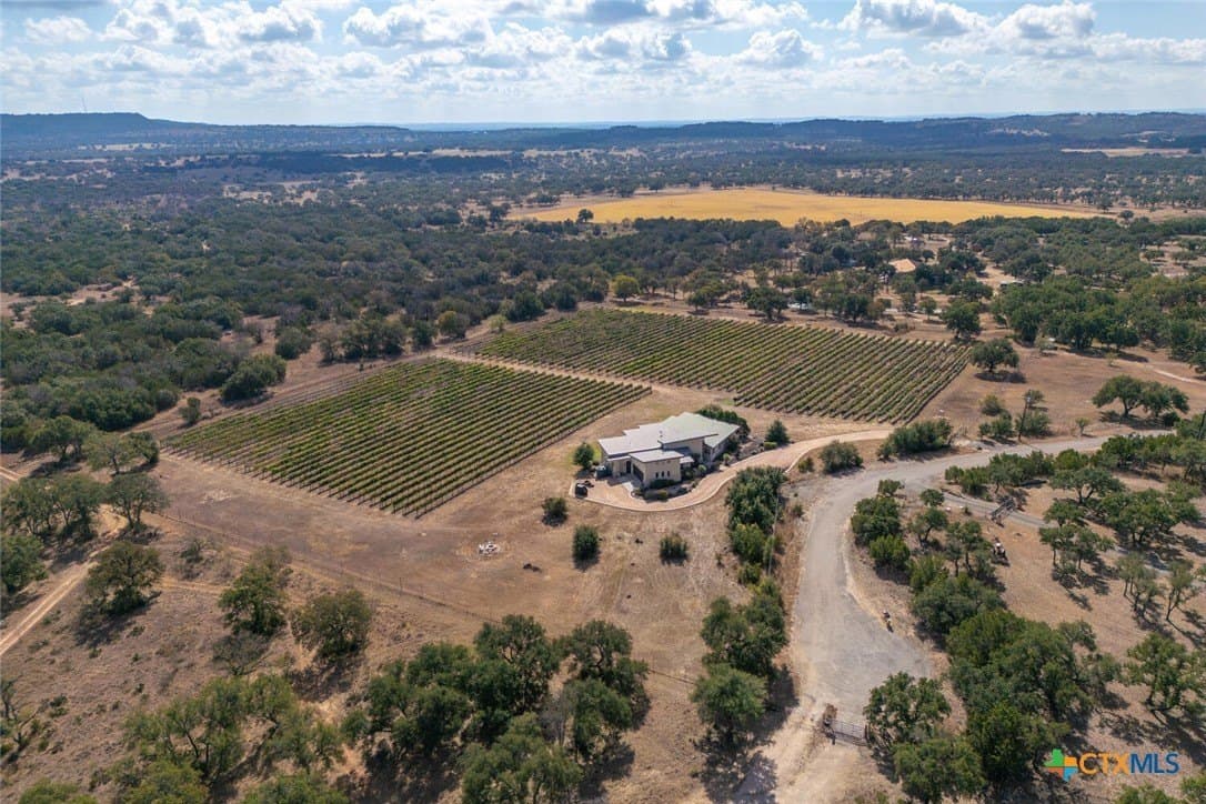 11.99 acres in Blanco County - photo 46