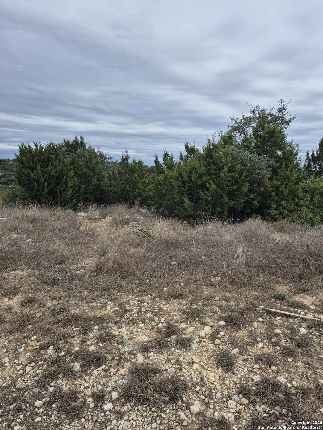 0.63 acres in Bexar County gallery image 4